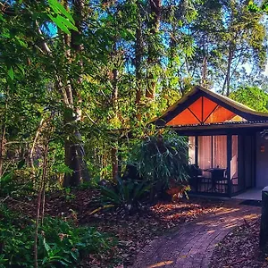 Курортный комплекс Rainforest
